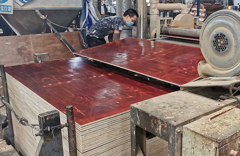 一分鐘了解怪獸木業建筑模板生產流程