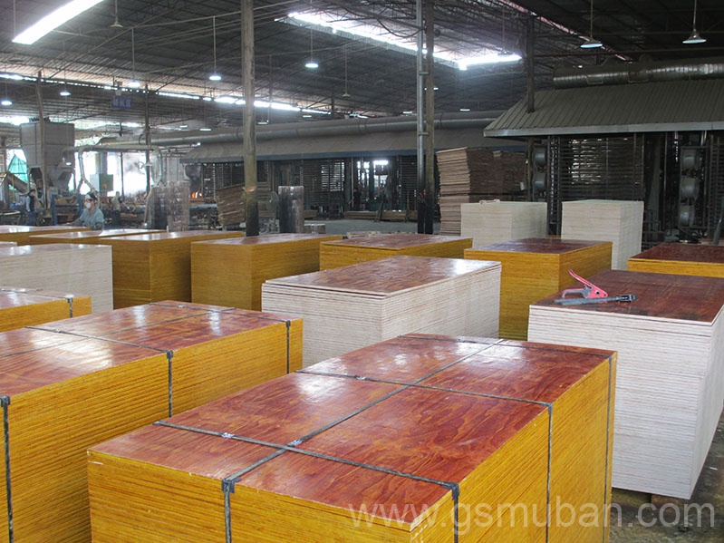 2025年建筑木模板行業新趨勢！