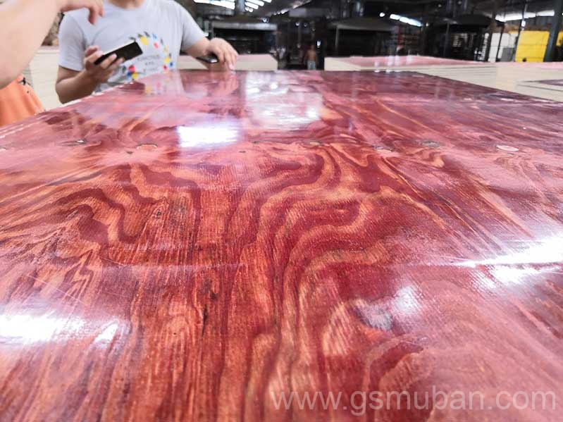 2025年建筑模板市場分析：機遇與挑戰并存！